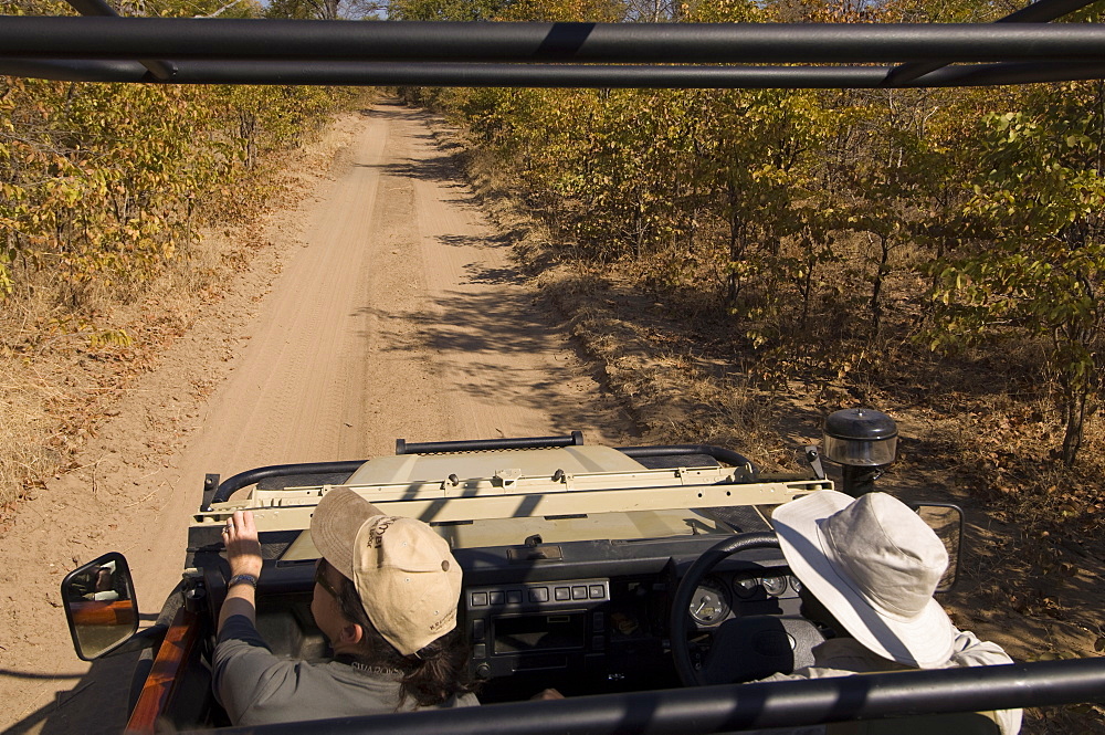 On safari, South Luangwa National Park, Zambia, Africa