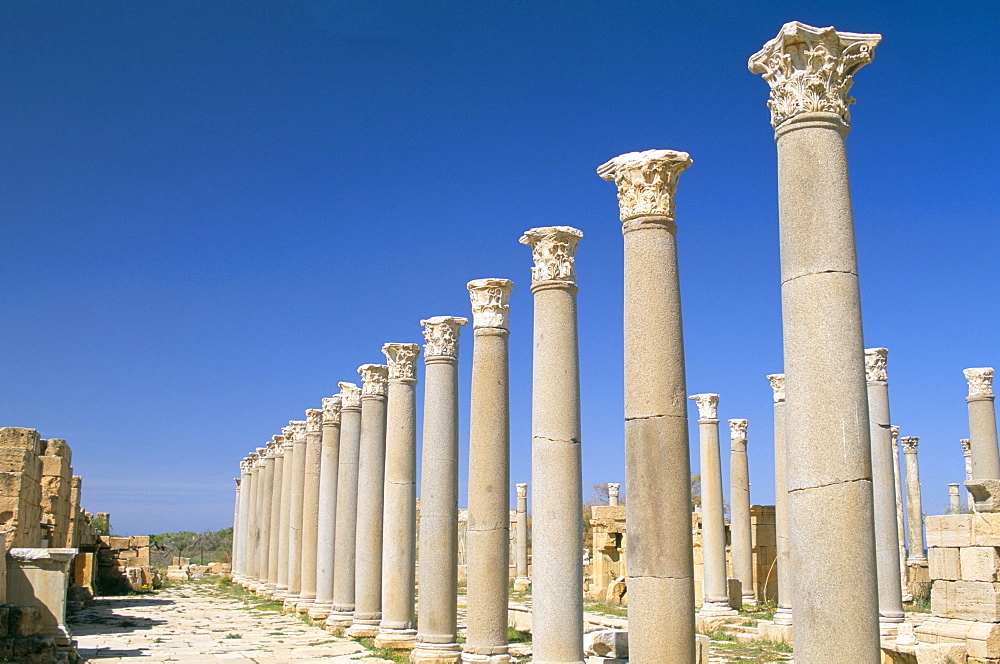 Theatre, Leptis Magna, UNESCO World Heritage Site, Tripolitania, Libya, North Africa, Africa