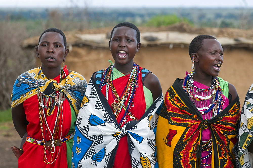 Masai women singing, Masai Mara, Kenya, East Africa, Africa