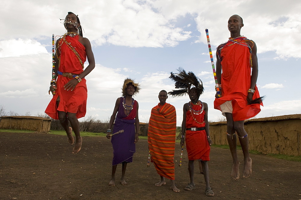 Masai performing warrior dance, Masai Mara, Kenya, East Africa, Africa