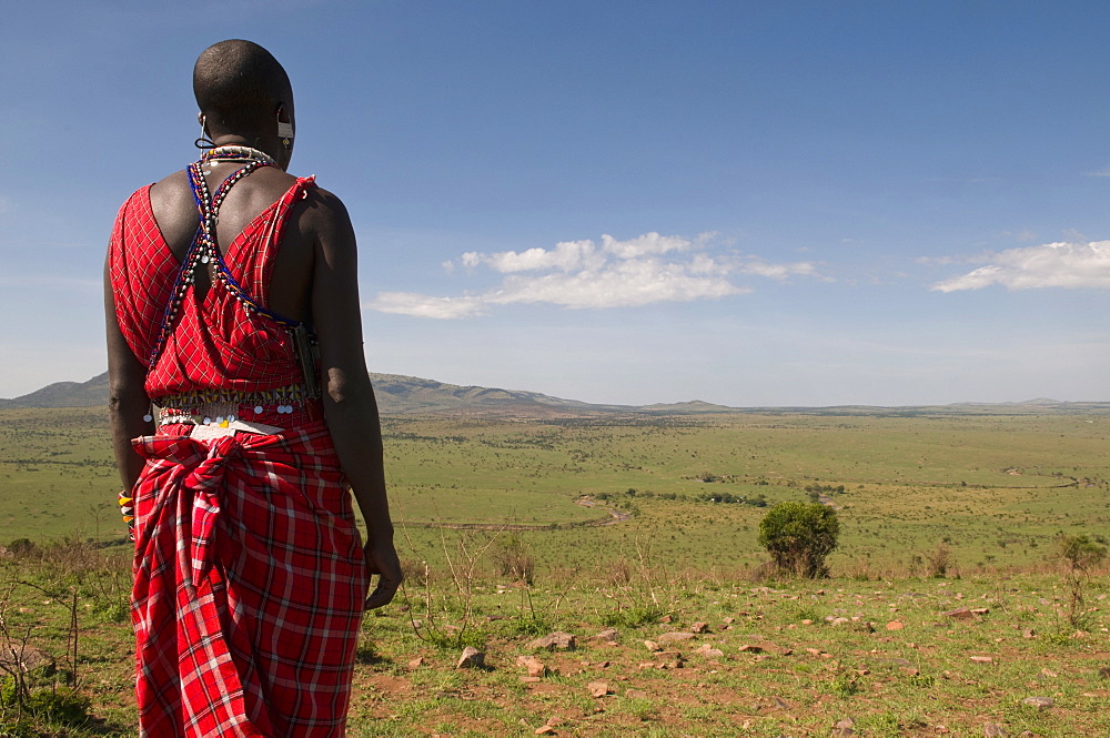 Masai man, Masai Mara, Kenya, East Africa, Africa