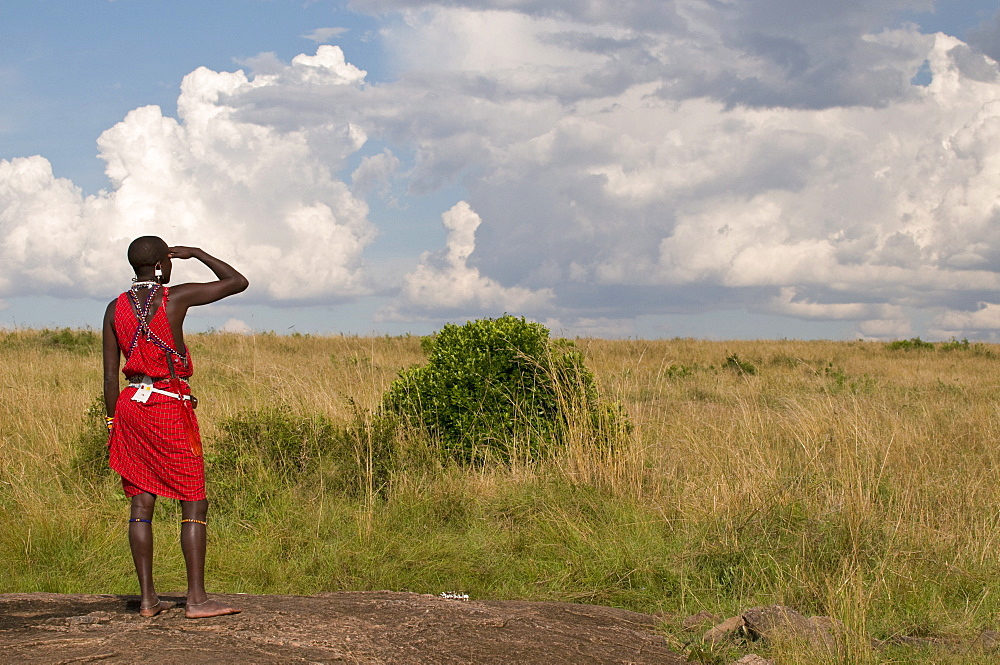 Masai man, Masai Mara, Kenya, East Africa, Africa