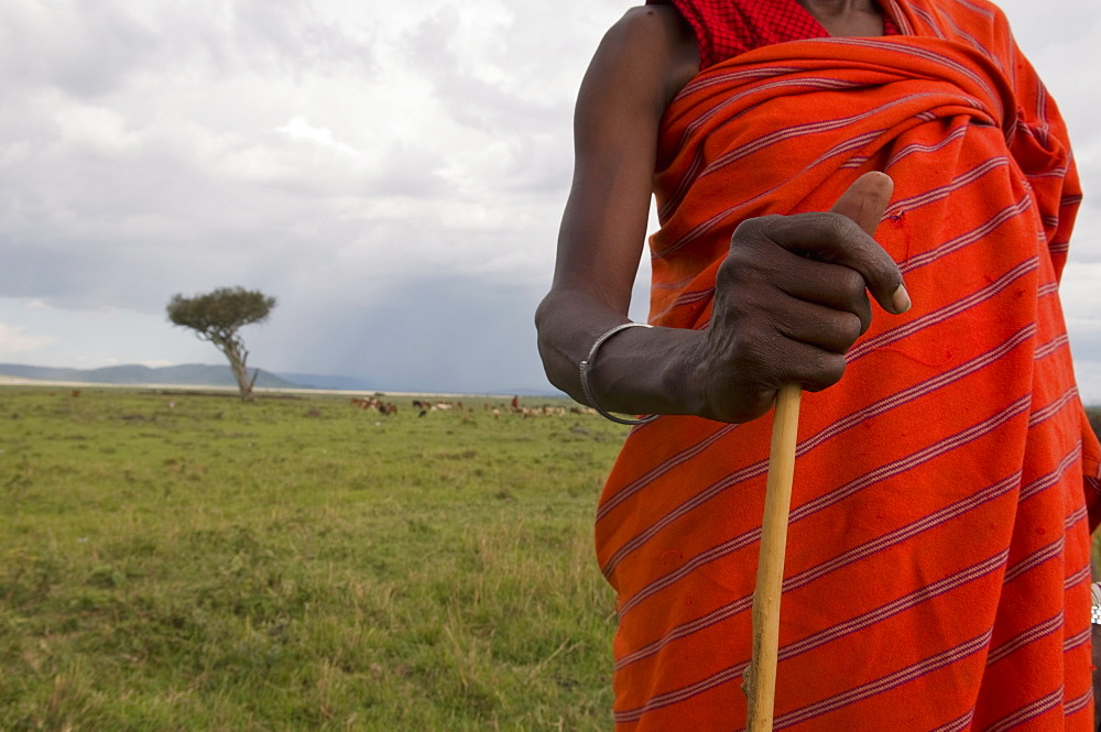 Masai man, Masai Mara, Kenya, East Africa, Africa