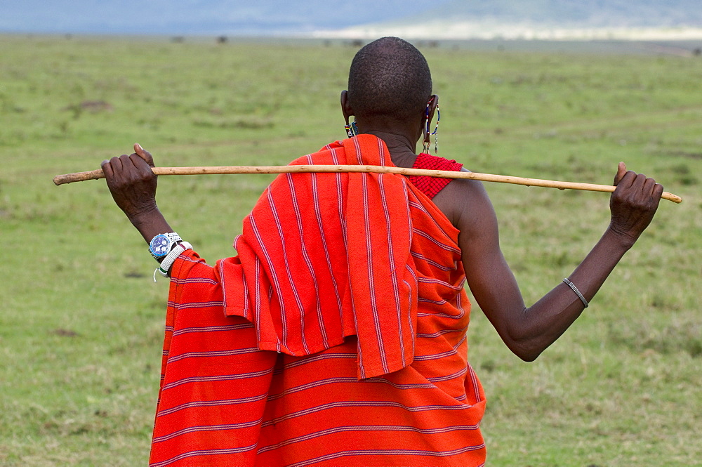 Masai man, Masai Mara, Kenya, East Africa, Africa