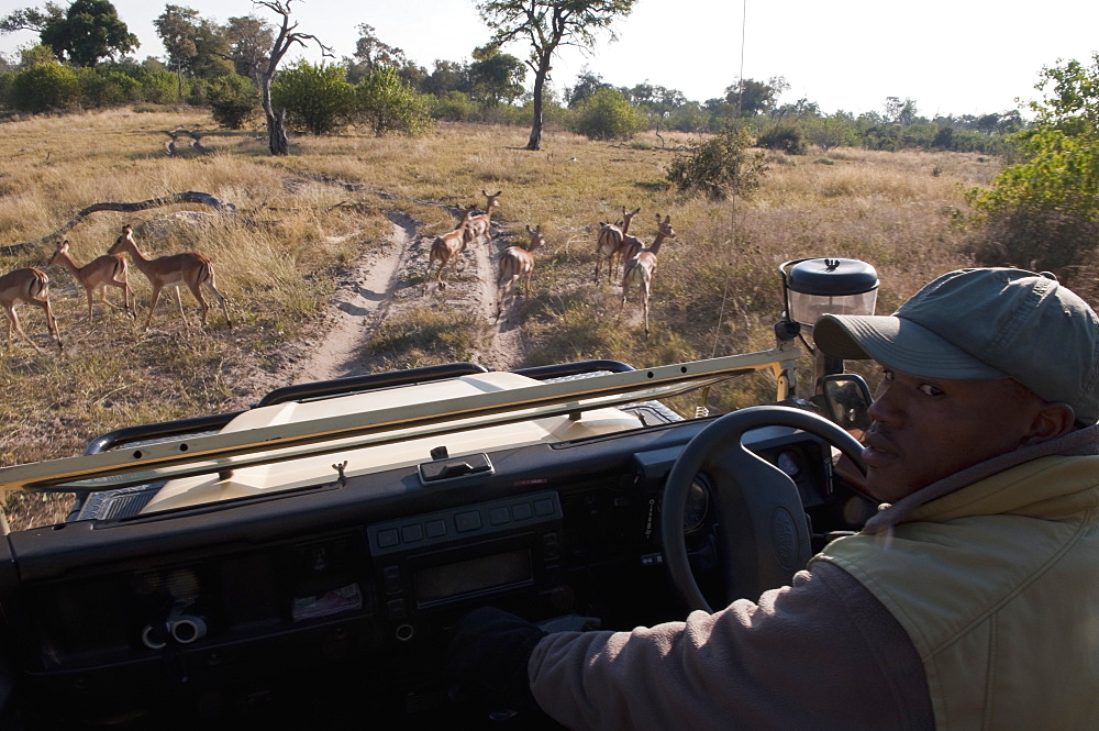 Savute Channel, Linyanti, Botswana, Africa