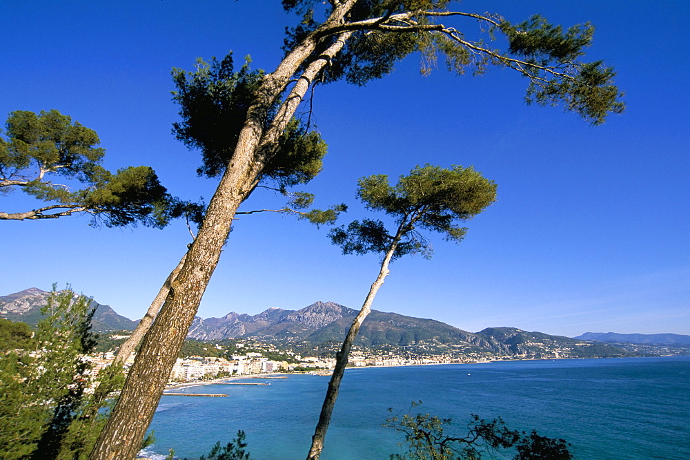 Menton, Alpes-Maritimes, Cote d'Azur, Provence, French Riviera, France, Mediterranean, Europe