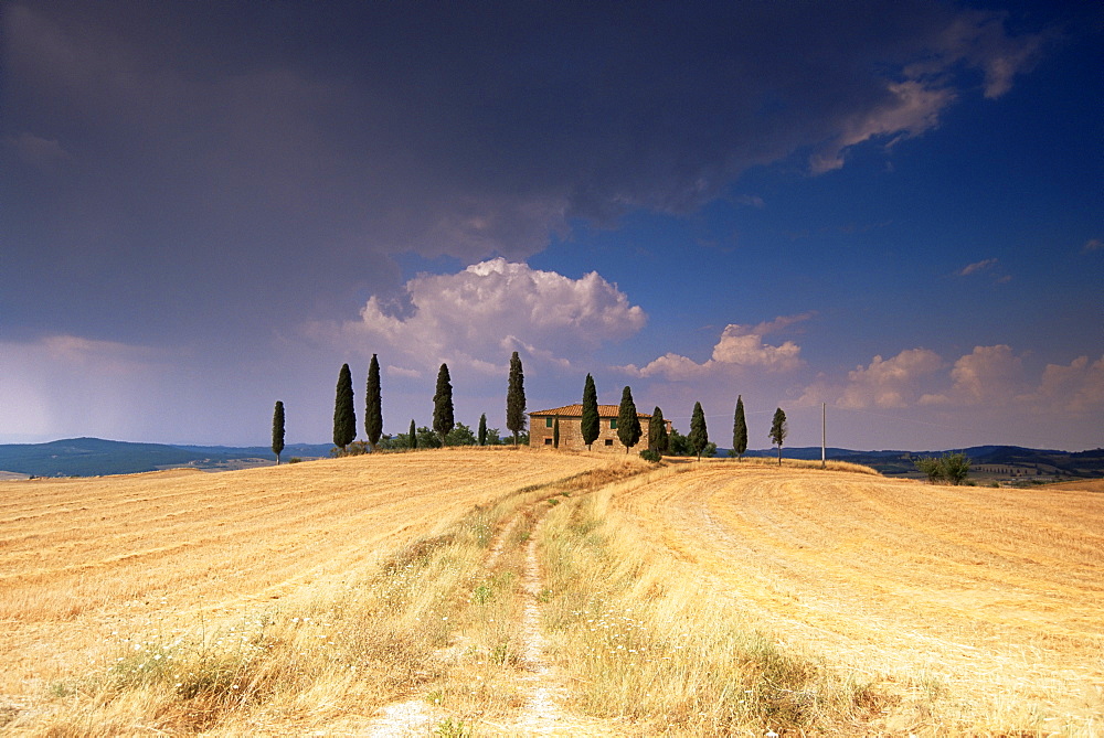 Cottage and cypress trees near Pienza, Val d'Orcia, Siena province, Tuscany, Italy, Europe