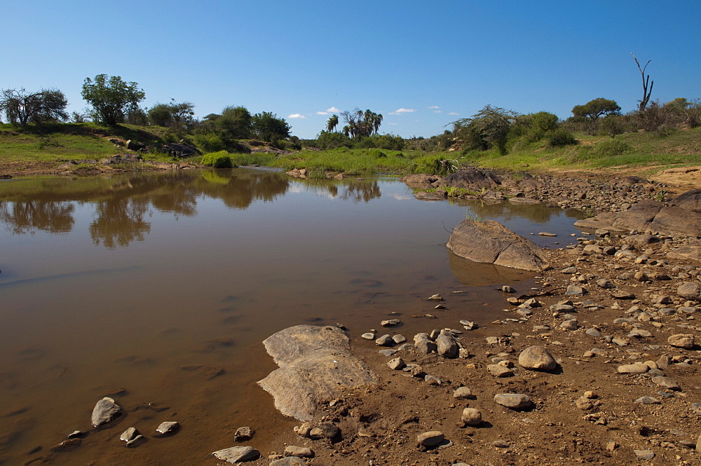 Loisaba Wilderness Conservancy, Laikipia, Kenya, East Africa, Africa