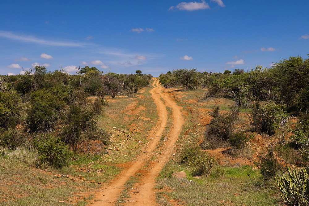 Loisaba Wilderness Conservancy, Laikipia, Kenya, East Africa, Africa