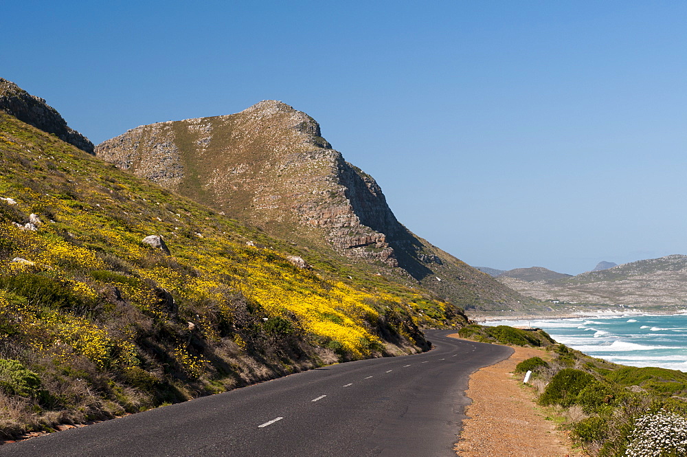 Empty road to Cape of Good Hope, Cape Town, South Africa, Africa