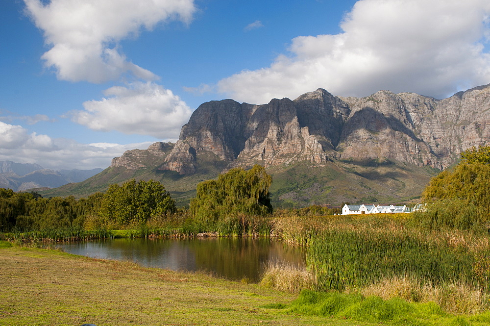 Zorgvliet Wine Estate, Stellenbosch, Cape Province, South Africa, Africa