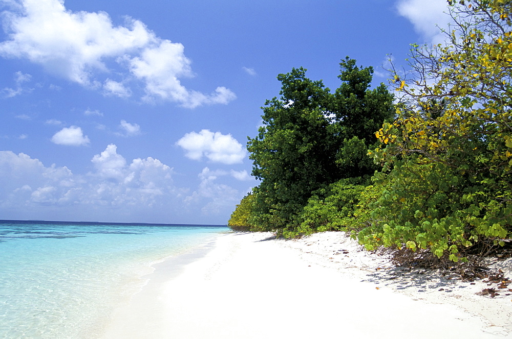 Mendu Island, Baa Atoll, Maldives, Indian Ocean, Asia