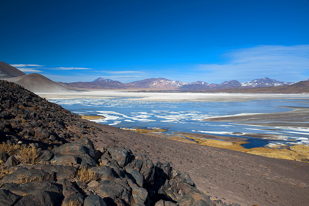 Salar de Talar, Atacama Desert, Chile, South America