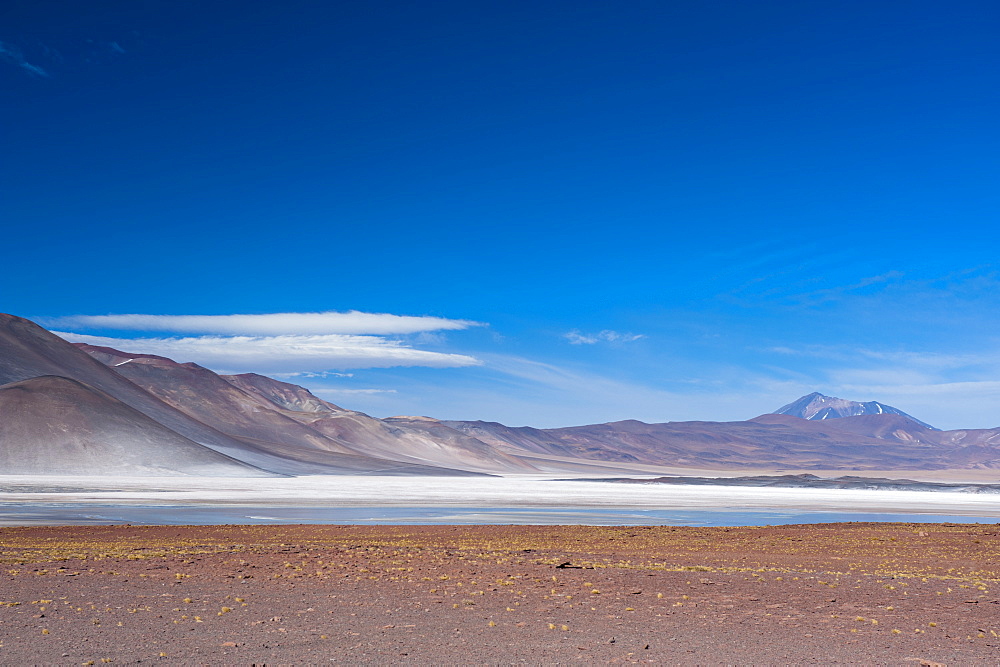 Salar de Talar, Atacama Desert, Chile, South America