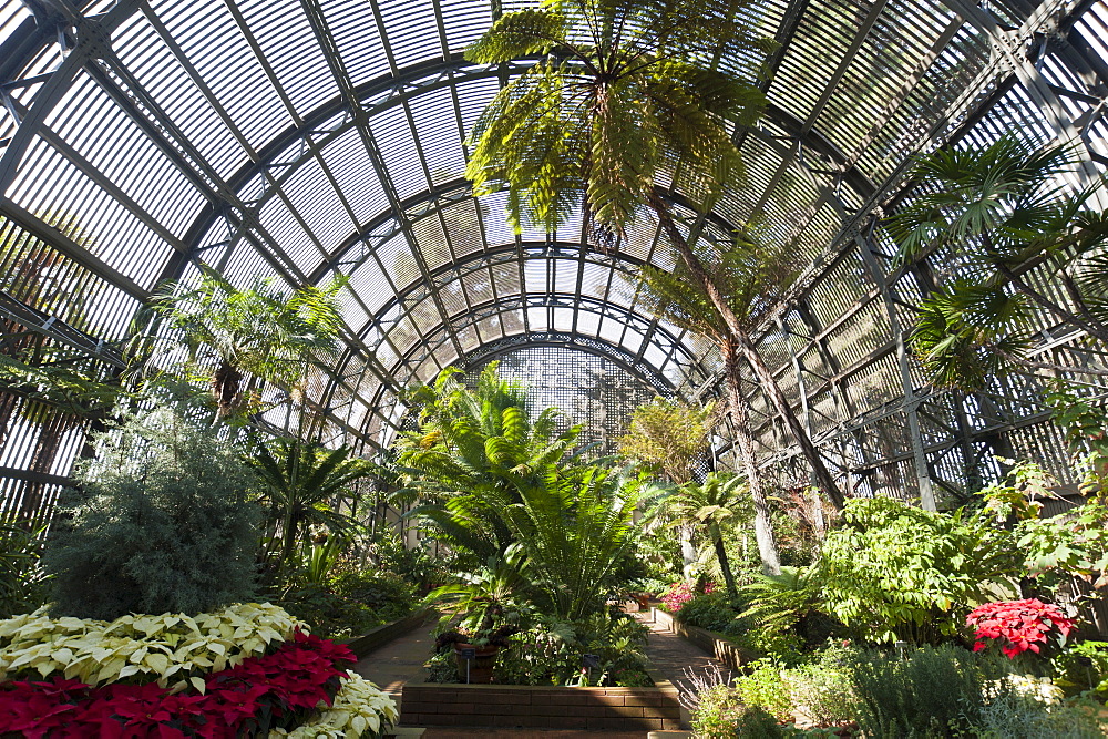 Botanical Building, Balboa Park, San Diego, California, United States of America, North America