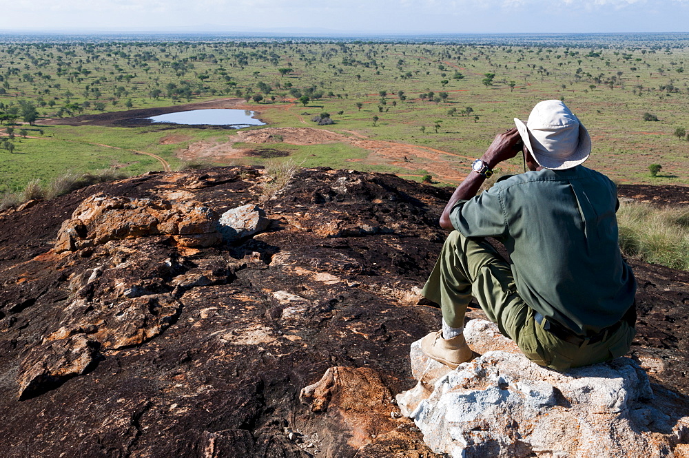 Lualenyi Game Reserve, near Tsavo National Park, Kenya, East Africa, Africa