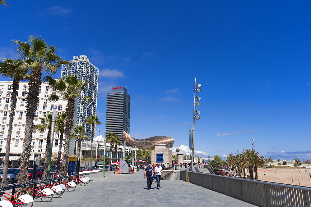 La Barceloneta, Barcelona, Catalonia, Spain, Europe