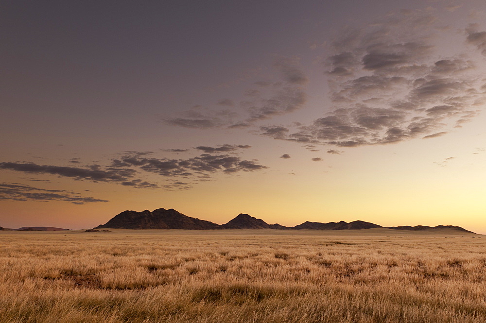 Kulala Wilderness Reserve, Namib Desert, Namibia, Africa