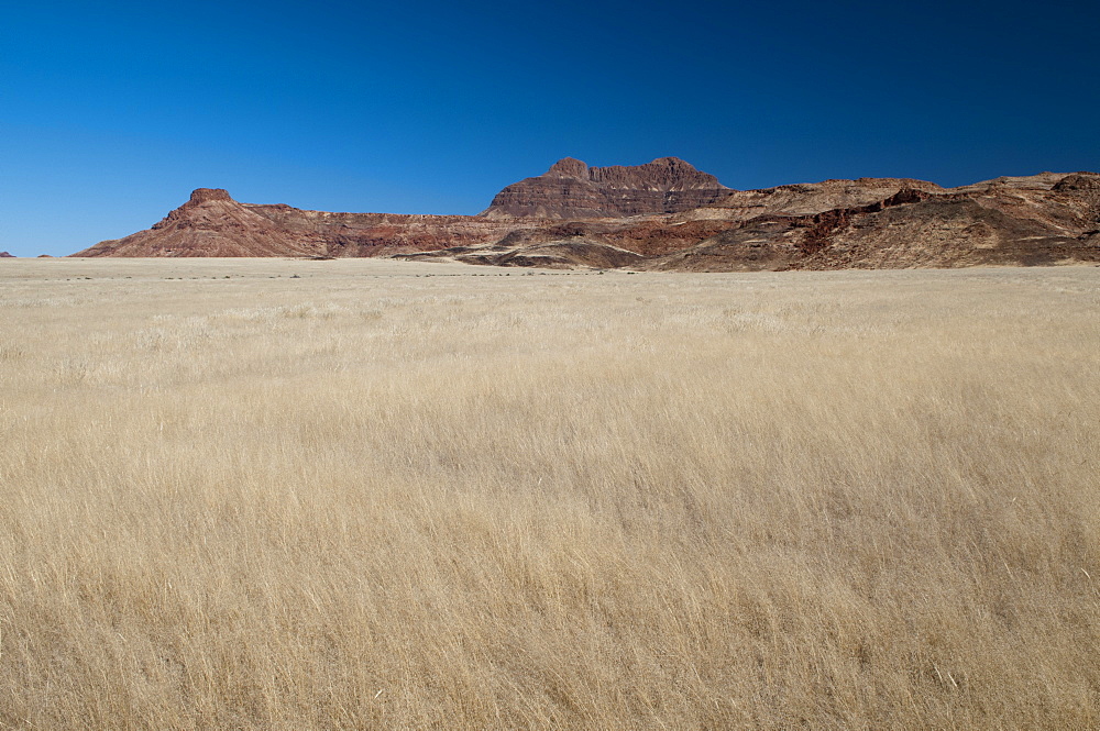 Huab River Valley, Torra Conservancy, Damaraland, Namibia, Africa