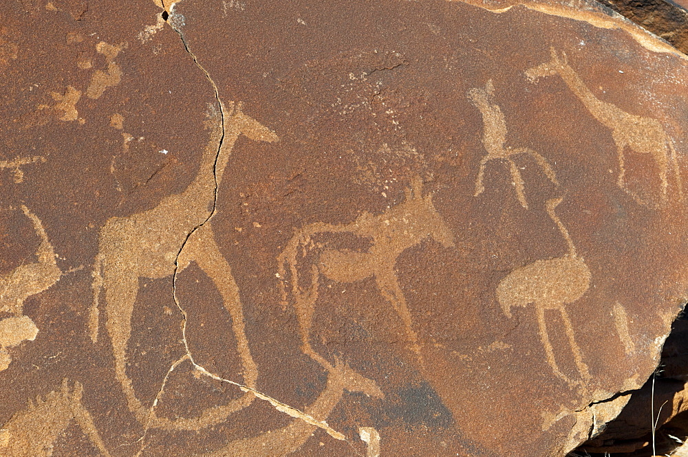 Rock engravings, Huab River Valley, Torra Conservancy, Damaraland, Namibia, Africa