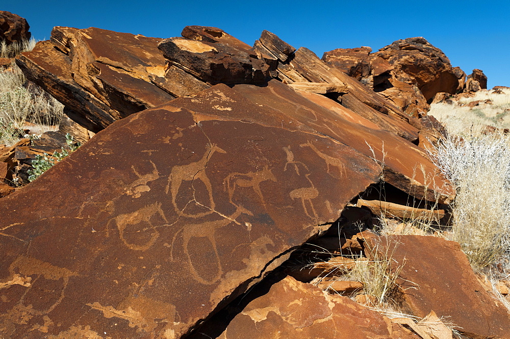 Rock engravings, Huab River Valley, Torra Conservancy, Damaraland, Namibia, Africa