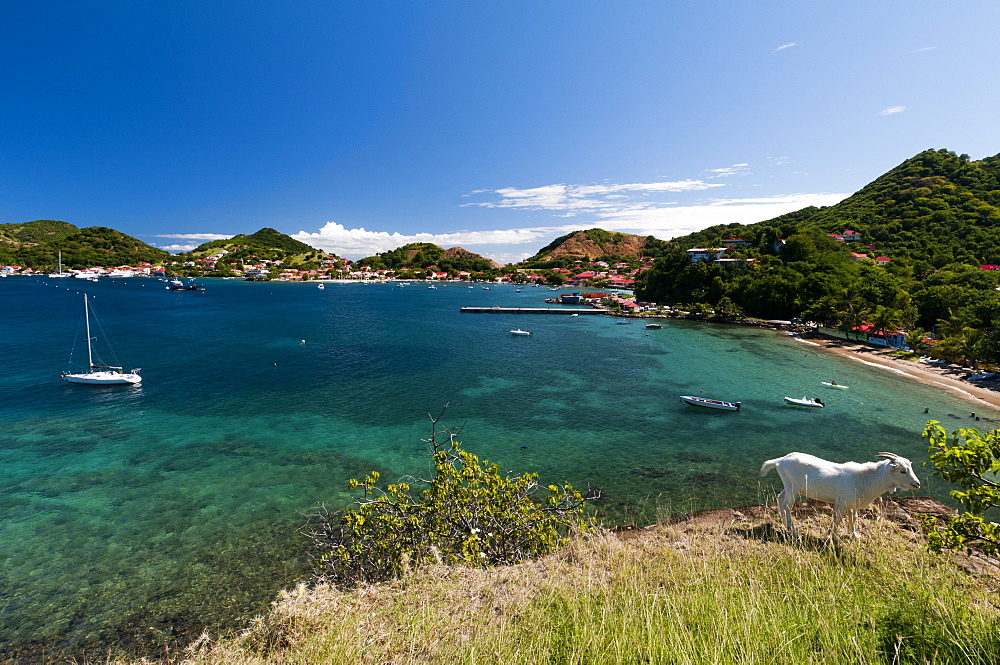 Le Bourg, Iles des Saintes, Terre de Haut, Guadeloupe, French Caribbean, France, West Indies, Central America