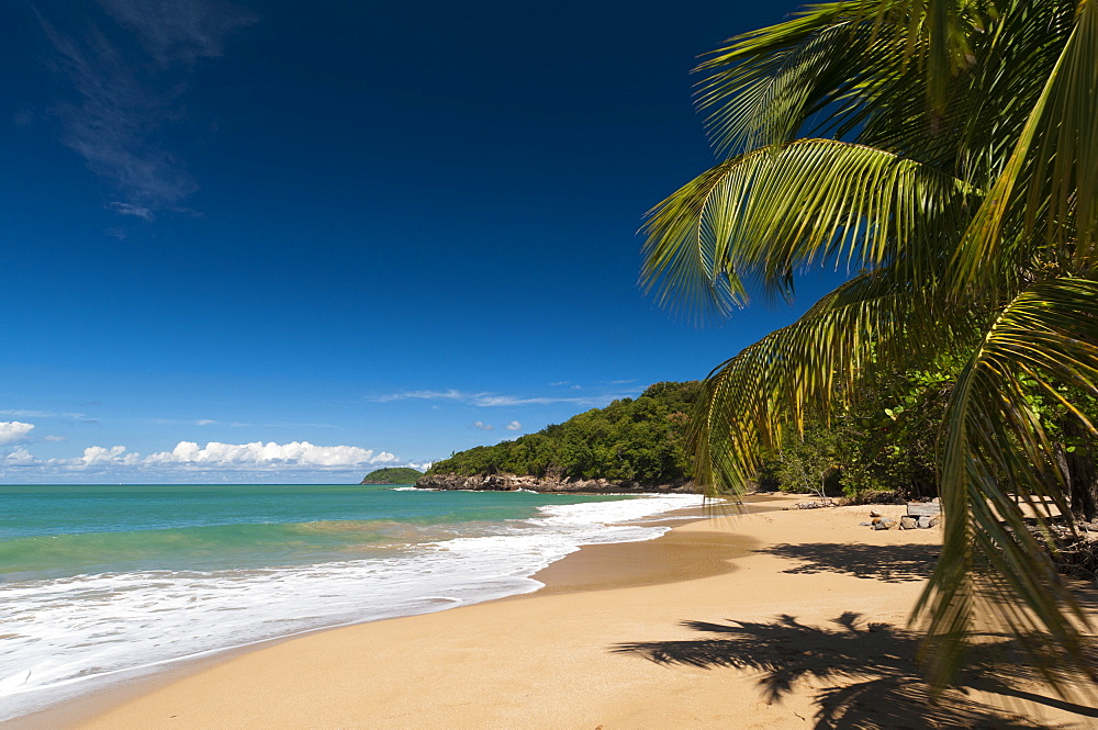 La Perle Beach, Deshaies, Basse-Terre, Guadeloupe, French Caribbean, France, West Indies, Central America