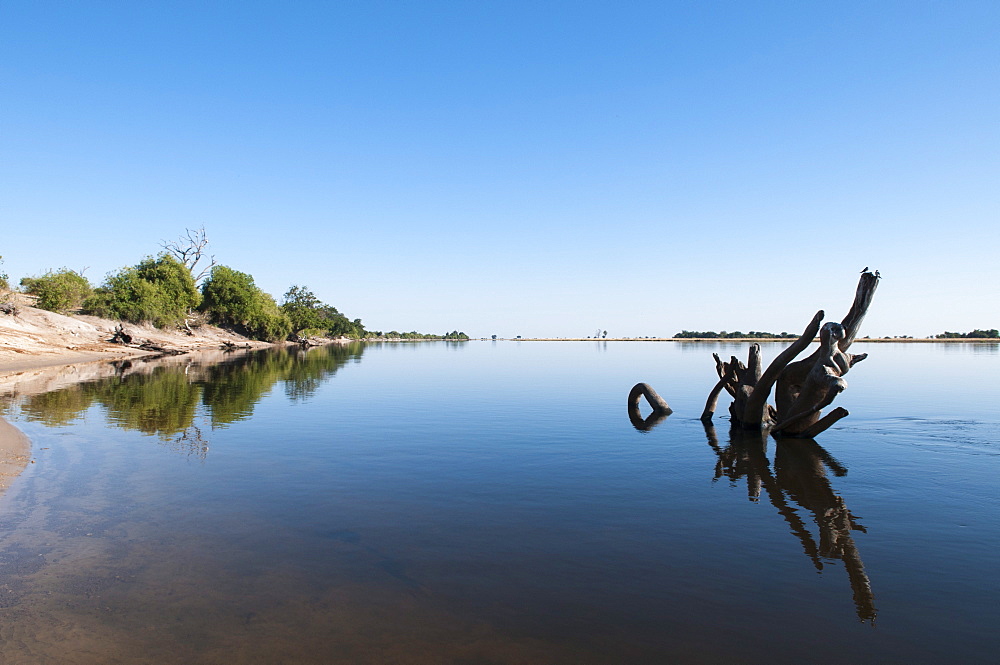 Chobe River, Chobe National Park, Botswana, Africa 