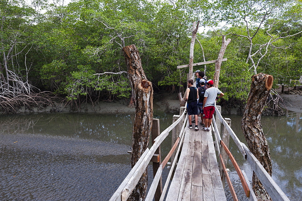 Curu Wildlife Reserve, Costa Rica, Central America 