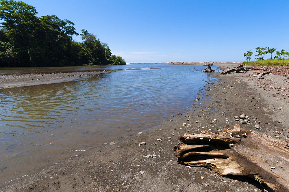 Corcovado National Park, Osa Peninsula, Costa Rica, Central America 