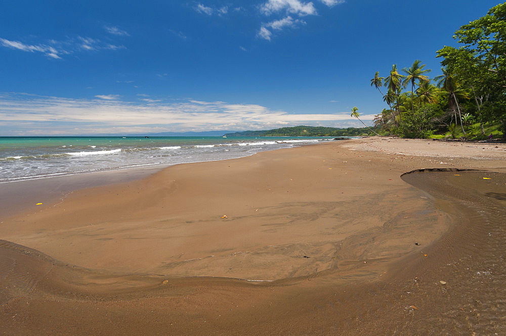 Osa Peninsula, Costa Rica, Central America 