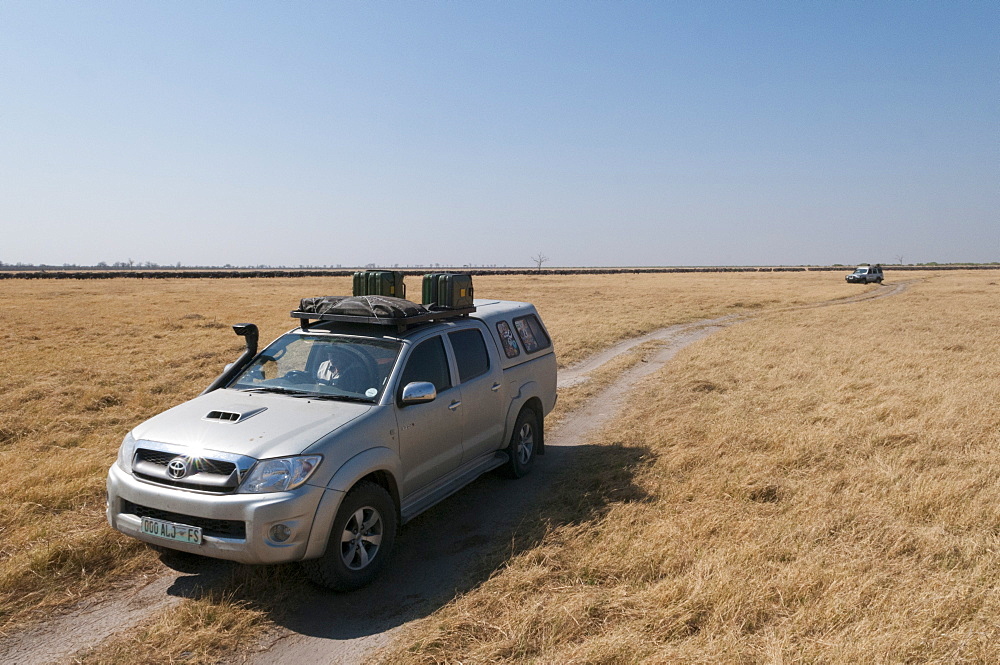 Off-road vehicles driving close to African buffalo herd, Savuti Marsh, Chobe National Park, Botswana, Africa