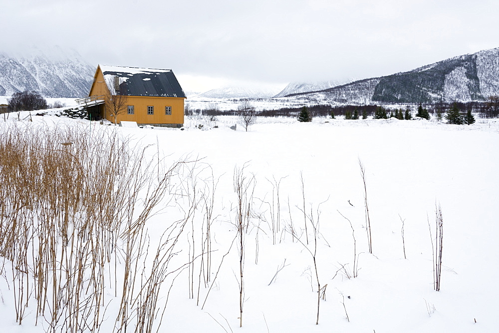 Fornes, Vesteralen Islands, Arctic, Norway, Scandinavia, Europe