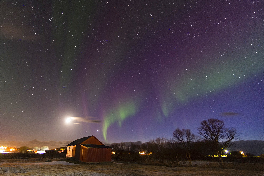 Northern Lights (aurora borealis), Laukvik, Nordland, Norway, Scandinavia, Europe