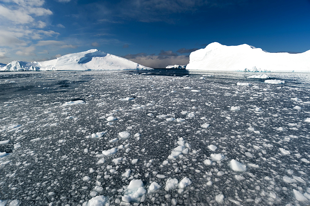 Icebergs in Ilulissat icefjord, UNESCO World Heritage Site, Greenland, Denmark, Polar Regions