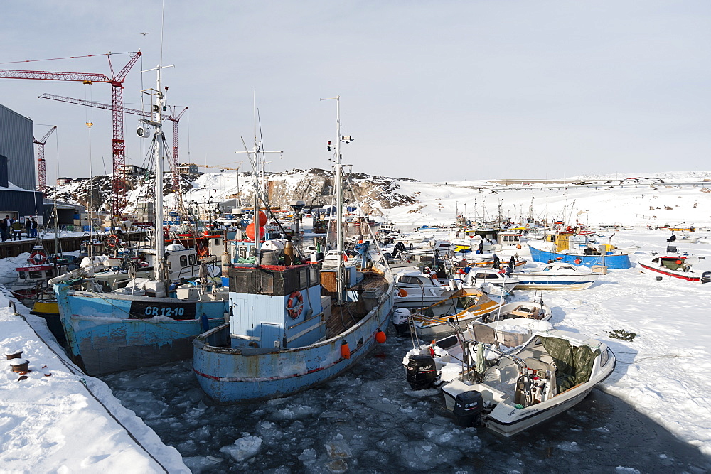 Ilulissat harbour, Greenland, Denmark, Polar Regions