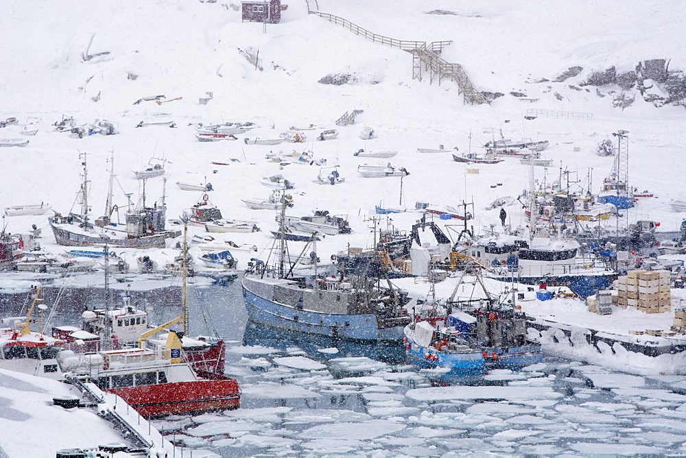 Ilulissat harbour, Greenland, Denmark, Polar Regions