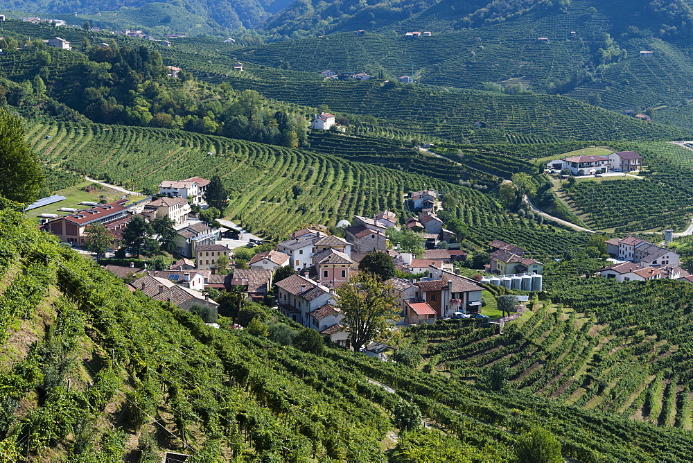 Valdobbiadene, Veneto, Italy, Europe