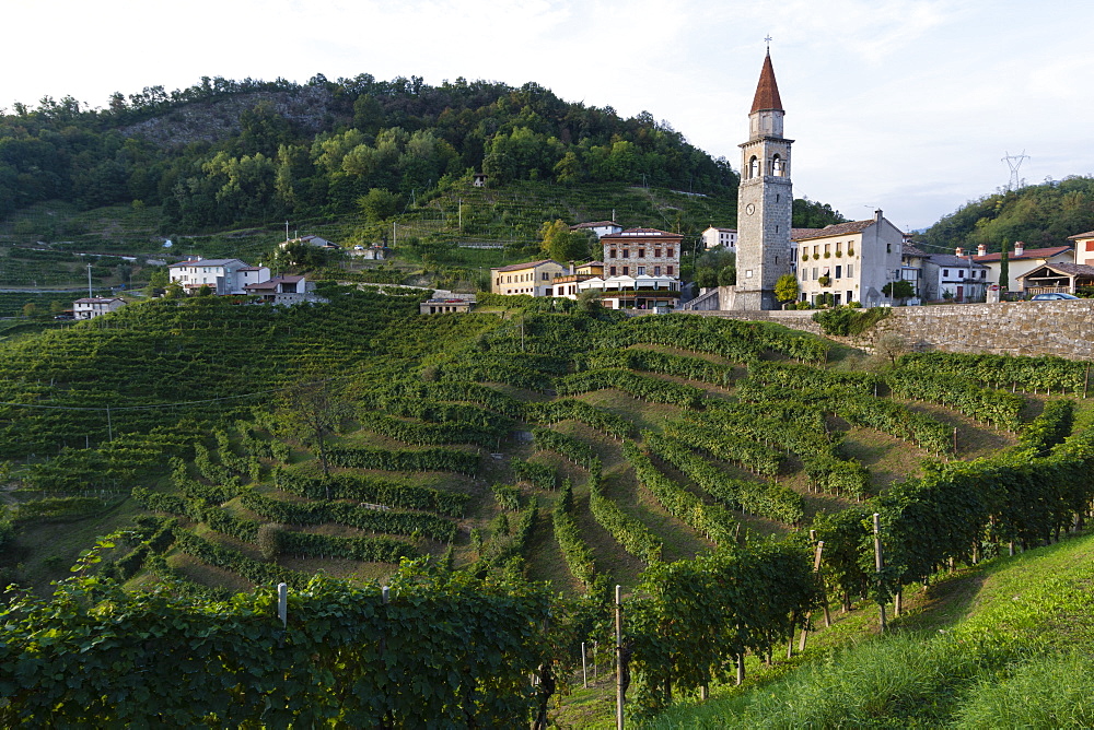 Rolle, Valdobbiadene, Veneto, Italy, Europe