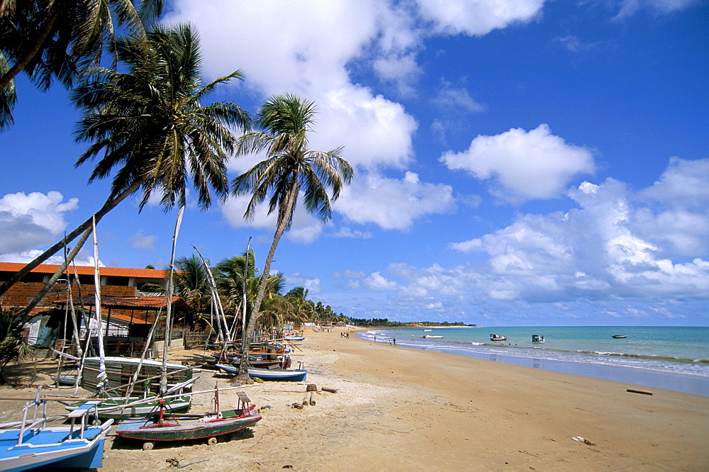 Maracajau, Natal, Rio Grande do Norte state, Brazil, South America