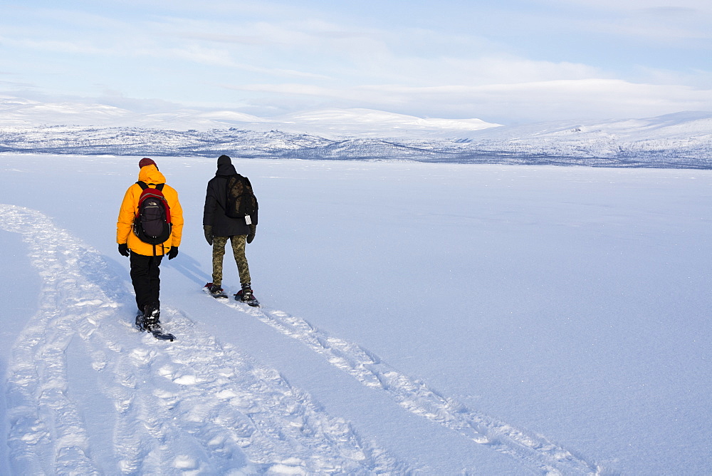 Tornetrask Lake, Abisko National Park, Sweden, Scandinavia, Europe