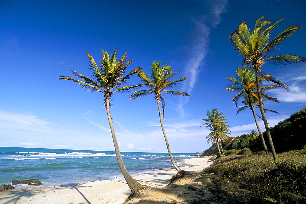 Praia do Amor, Pipa (Natal), Rio Grande do Norte state, Brazil, South America