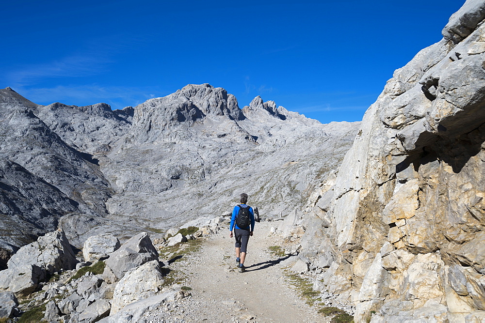 Picos de Europa National Park, Cantabria, Spain, Europe