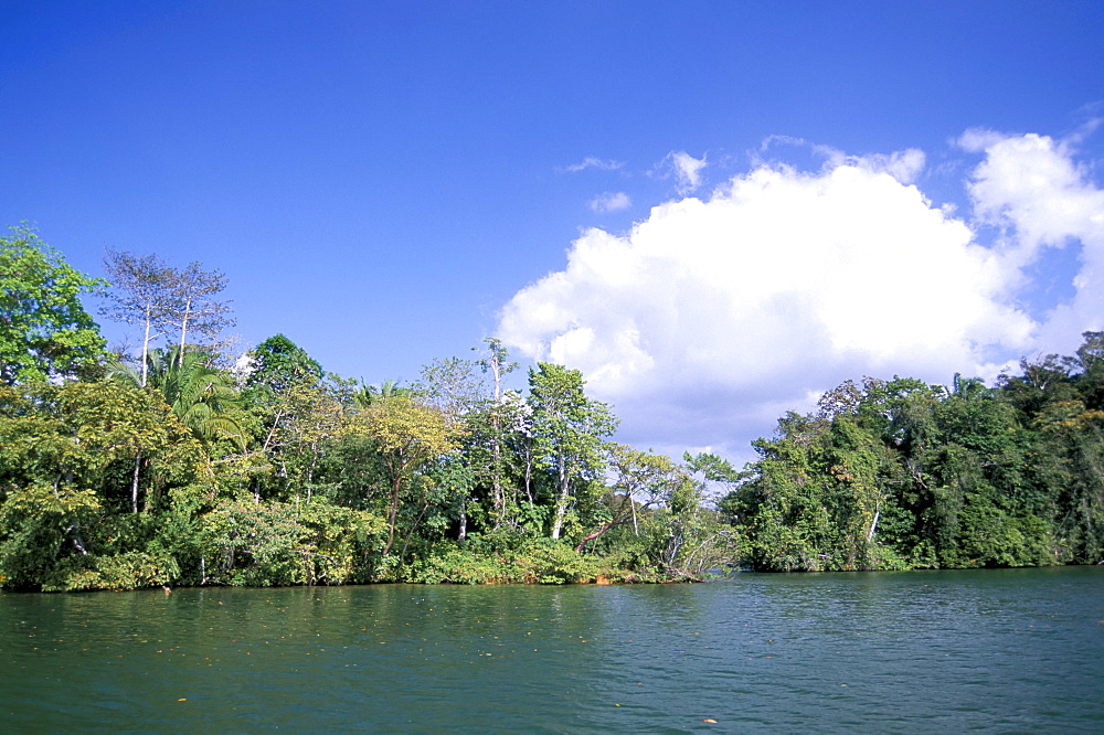 Island on Gatun Lake, Soberania Forest National Park, Panama Canal, Panama, Central America