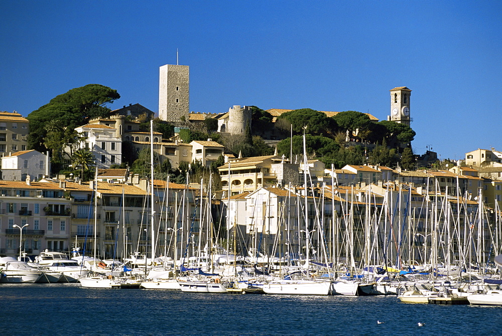 Old city and tourist harbour, Cannes, Alpes-Maritimes, Provence, Cote d'Azur, French Riviera, France, Mediterranean, Europe