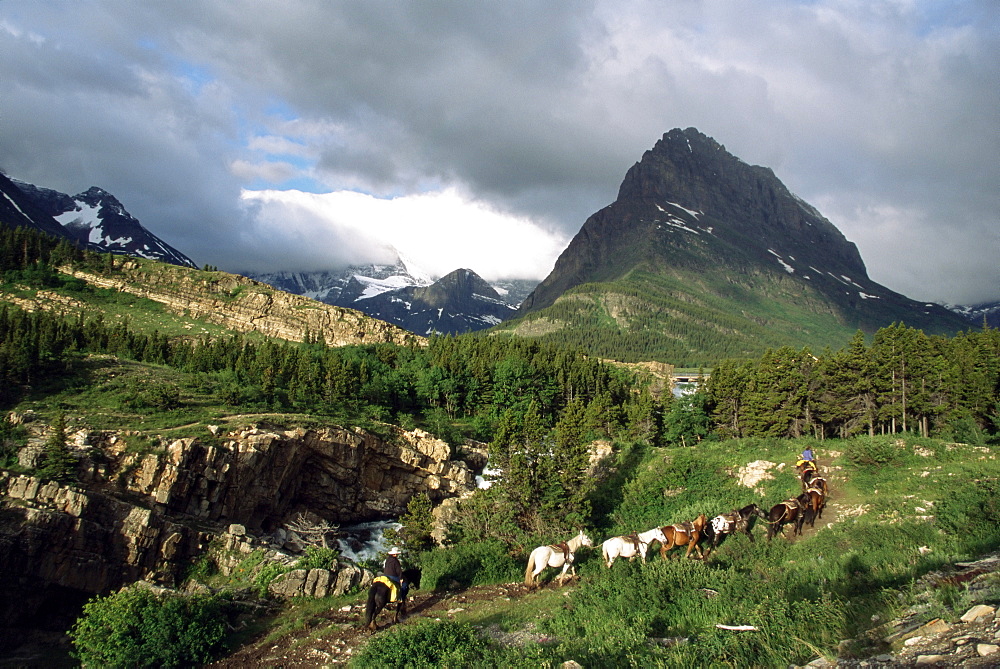 Horseback riding, Glacier International Peace Park, Montana, United States of America, North America