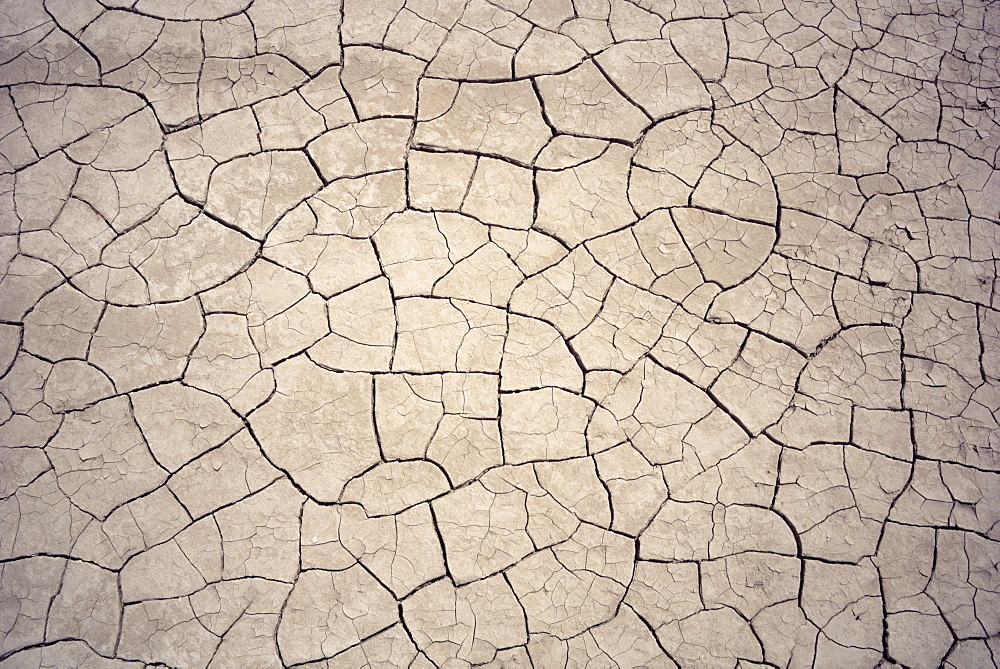 Patterns in mud cracks in drought area