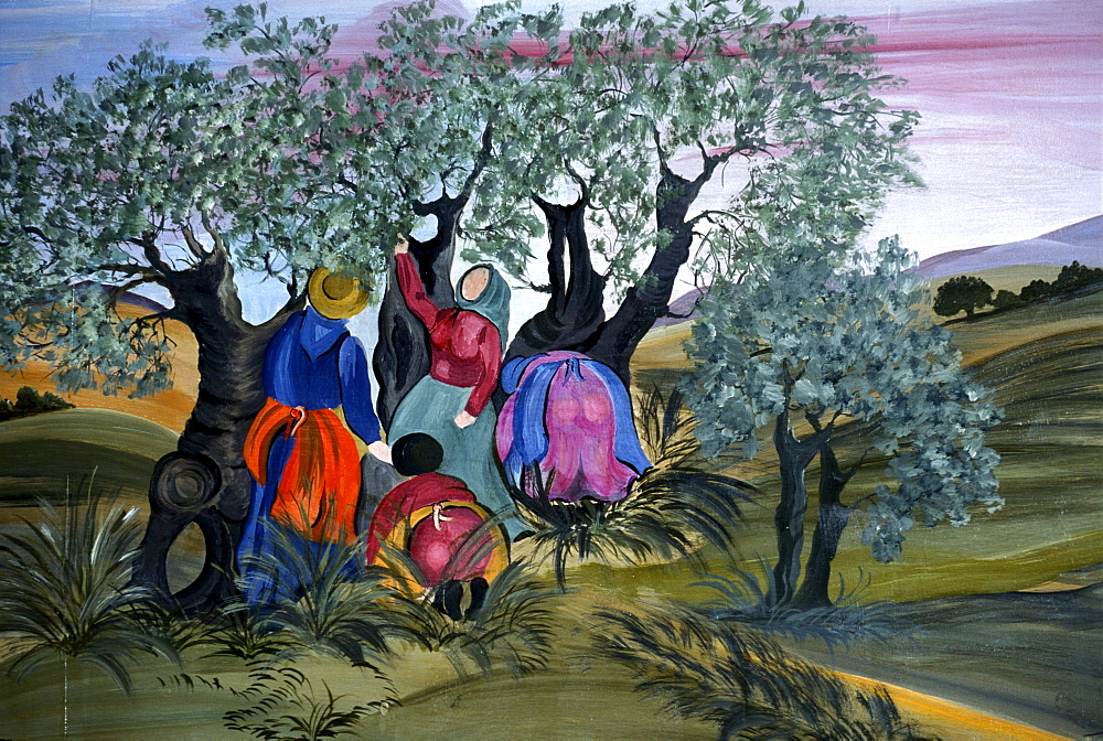 Olive picking, naive of  Barbara Mencarelli, Mandoleto, Solomeo, Umbria, Italy