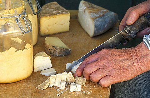 Bruss cheese, Racconigi, Piedmont, Italy