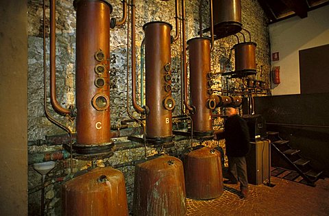 Distillation, Benito Nonino cellar, Percoto, Friuli Venezia Giulia, Italy.